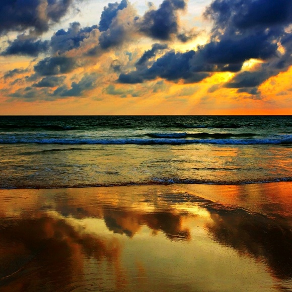 Meet your Posher, Brenda - Picture 1 of 1